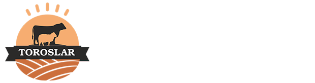 Karaman Kurban, Kurban Hissesi, Karaman Adak Kurban Sitesi - Karaman Toroslar Hayvancılık